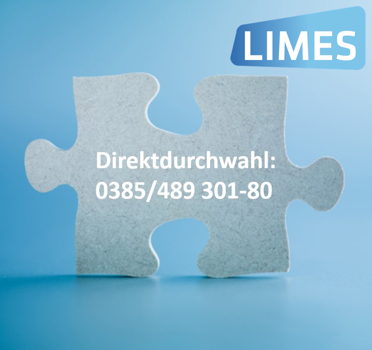 LIMES Solutions GmbH